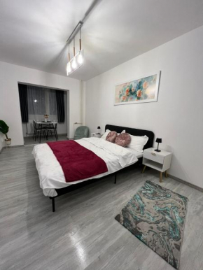 Apartament Rasaritului